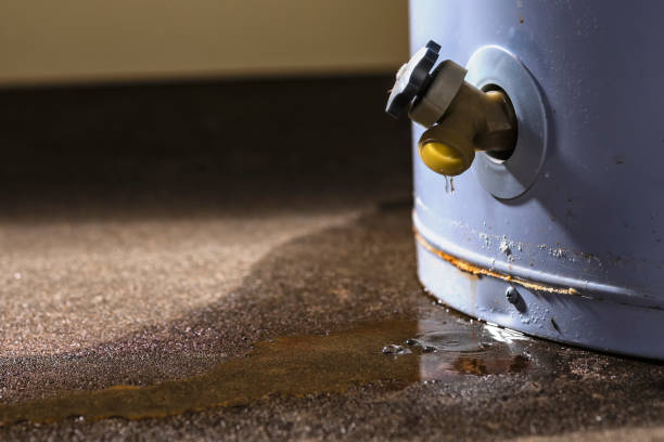 Best Water damage restoration near me  in Lansing, IL