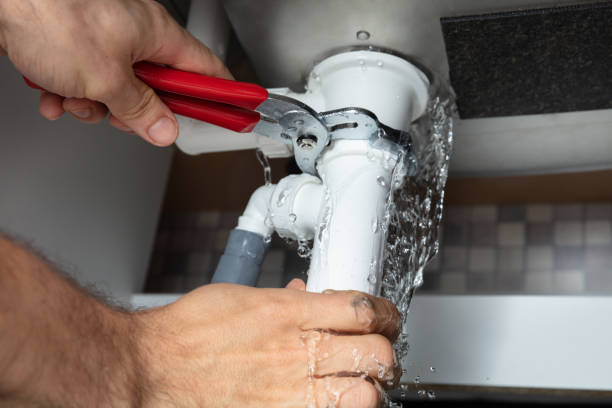 Best Water damage restoration specialists  in Lansing, IL