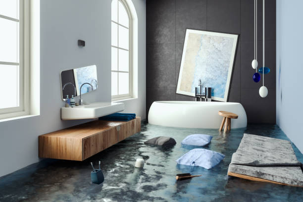 Best Basement water damage restoration  in Lansing, IL