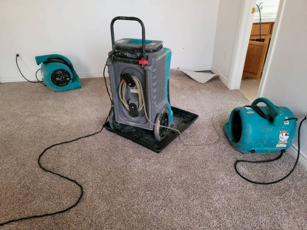 Best Basement water damage restoration  in Lansing, IL