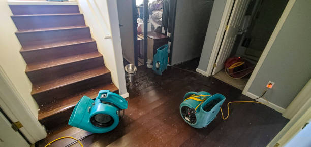 Best Carpet water damage restoration  in Lansing, IL