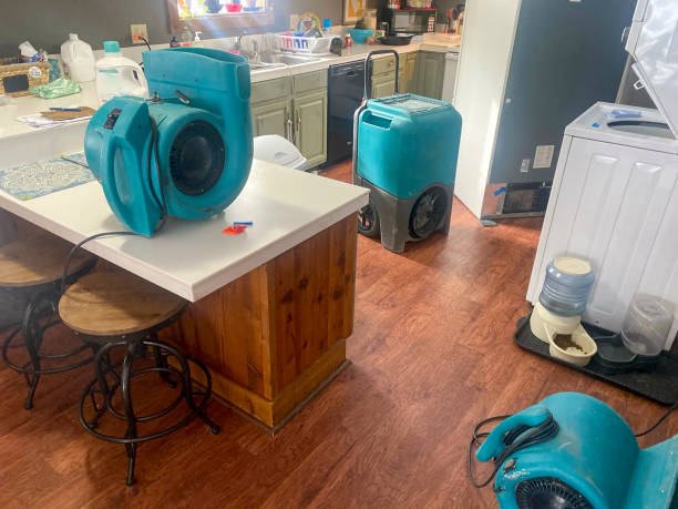 Best Flooded house restoration  in Lansing, IL
