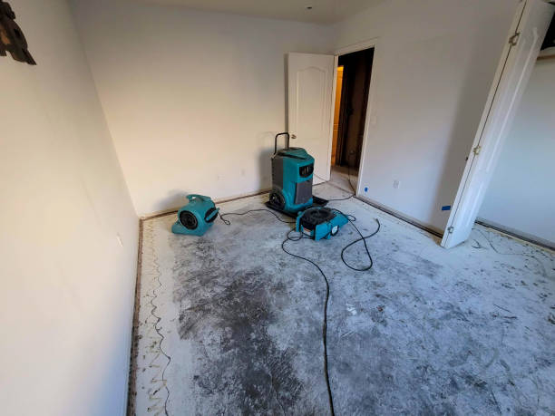 Best 24-hour water damage restoration  in Lansing, IL
