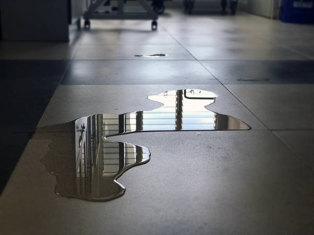 Best Flood restoration services  in Lansing, IL