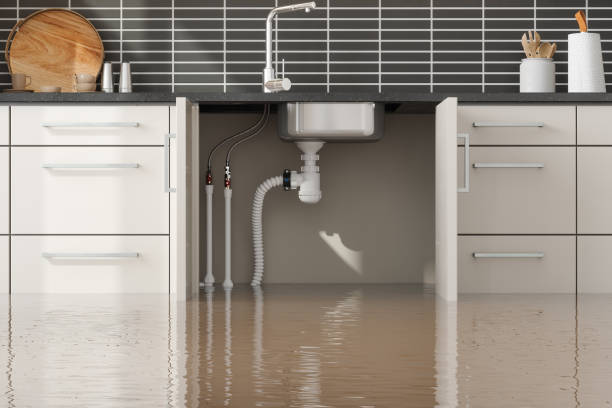 Best Mold removal after water damage  in Lansing, IL