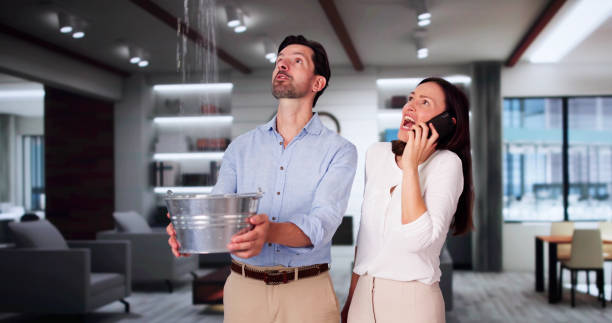 Best Water damage restoration near me  in Lansing, IL