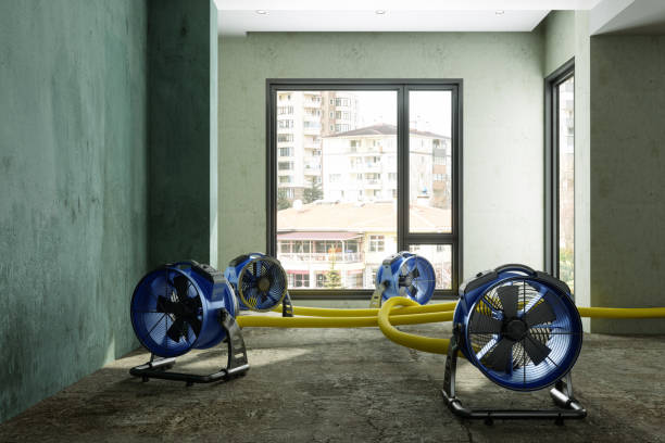  Lansing, IL Water damage restoration Pros