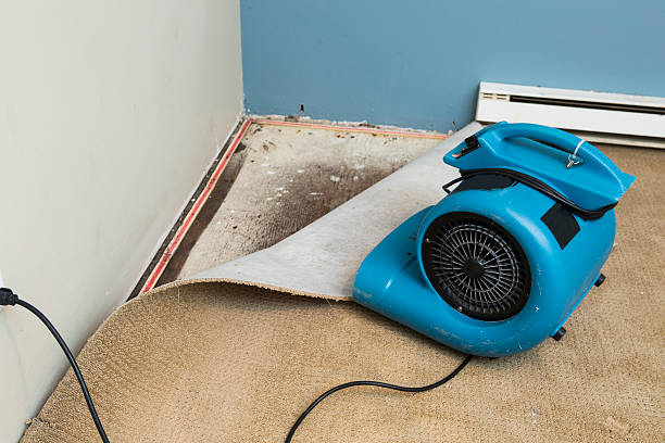 Best 24/7 water damage repair  in Lansing, IL